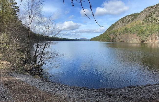 3 Mackay Road Dornoch - Photo 11