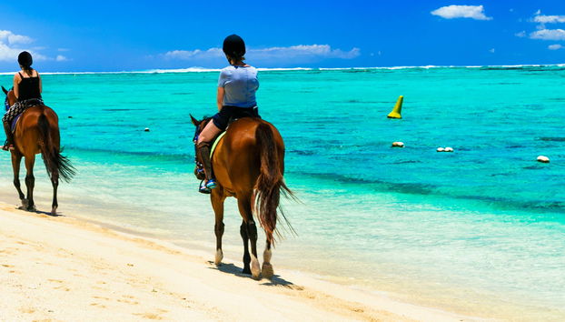 Paseo a caballo por Providencia - Foto 4