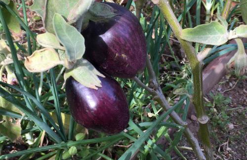 Maria’s Cottage House - Foto 43