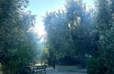 A casa d Irene - Photo 35