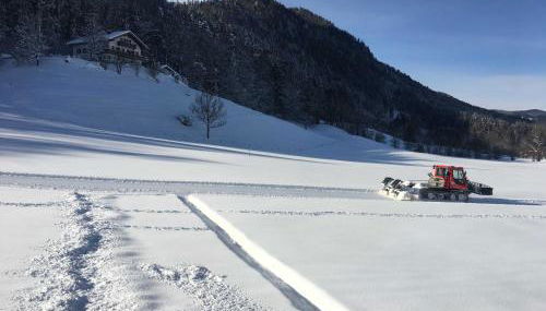 Ferienwohnungen Familie Brunner, Kreuth-Reitrain - Foto 3