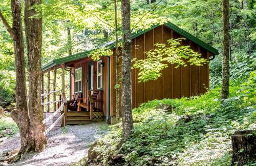 Cabin in the woods w/ WIFI close to Monongahela National Forest - Foto 16