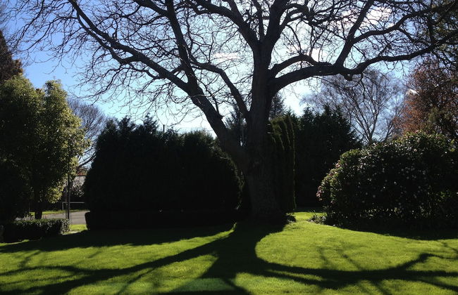 Walnut Grove Lodge - Foto 75