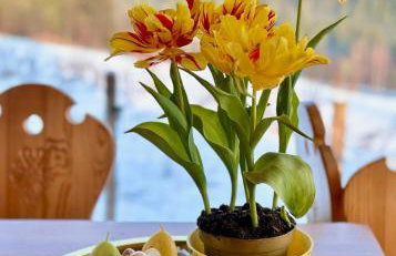 Domek Tatry - Stacja Wierchowa 972 m - Foto 28