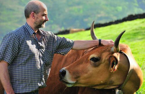 Casa Corral - Casas de Aldea - Foto 45