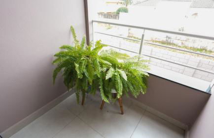 Jahu Center Casas Un 1 - Photo 74