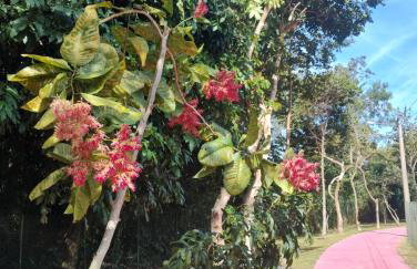 Condado Aldeia dos Reis - Foto 13