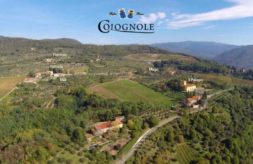 Agriturismo Colognole - Foto 59