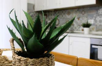 Anima E Cori - Casa Vacanza - Foto 23