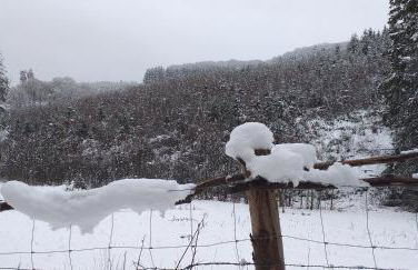 Alter Werkstatt - Foto 36