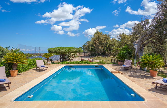 Sant Joan - Photo 20