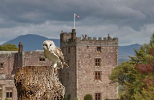 The Seaflower - With Lake Views - Foto 51