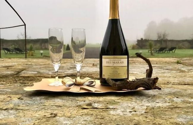 Château des Marais - Foto 17