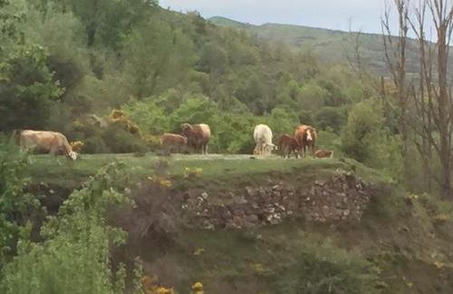 Casa Concejos - Foto 18