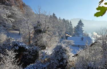 Gemütliche Waldrandlage in Badenweiler Sehringen Ferienwohnung - Foto 41