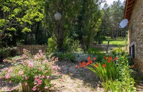 Maison de charme avec jardin clos et Wifi au cœur du Périgord Noir - FR-1-616-401 - Photo 7