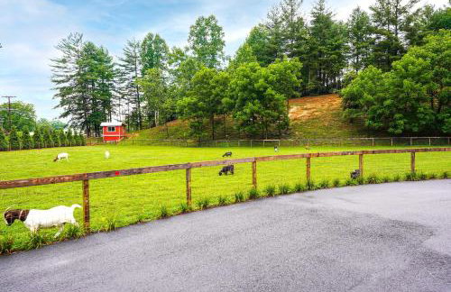 Pisgah Forest Farm Home: Outdoor Pool & Games - Foto 27