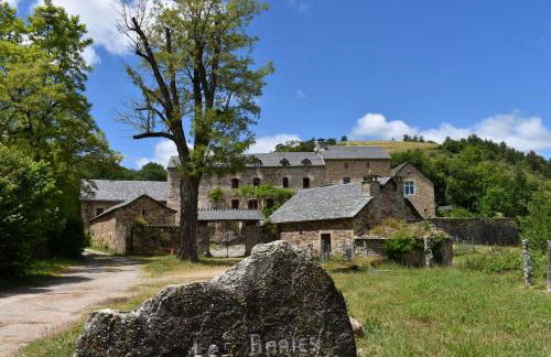 Les Distinguées -Aux Bories de Prévinquières - Photo 1