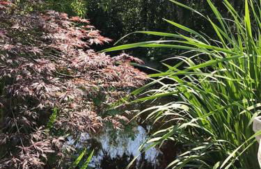 Unser Studio-Apartment "Wohlfühloase" - Foto 29