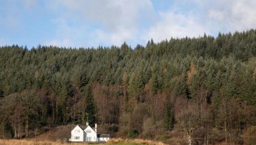 Hazelseat House - Foto 5