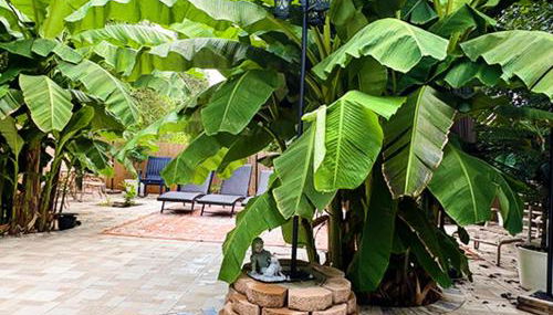 Vessel Hotel Studio Suites of Atlanta, GA - Foto 2