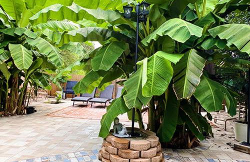 Vessel Hotel Studio Suites of Atlanta, GA - Photo 2