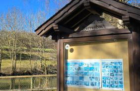 RINGZEIT-Lodge - Foto 56