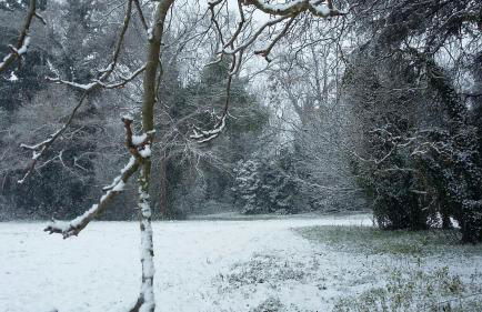 Villa Mainardi Agriturismo - Foto 48