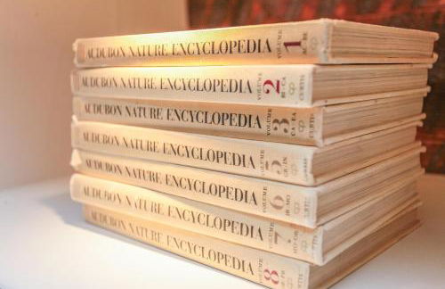 Yellowstone Flats - Photo 15