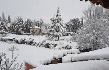 La casa del escudo - Foto 50