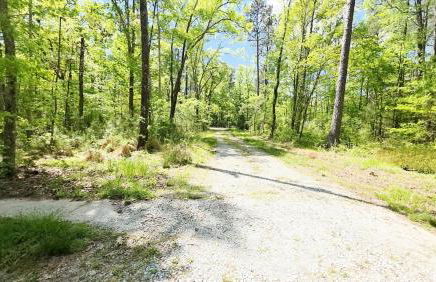 3BR House at Pine Forest Hideaway - 12 Minutes to UNC - Near Jordan Lake - Foto 46