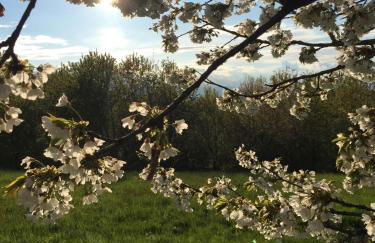 Happy hill - appartamento Quercia - natura e relax - Foto 32