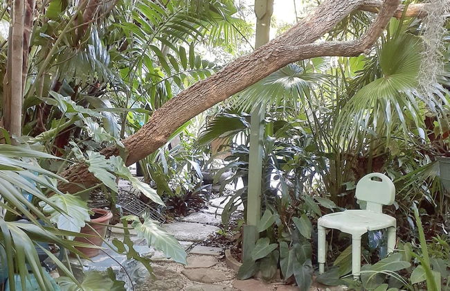 Unique Art Nature Hideaway Walkable to Wilton Drive - Foto 37