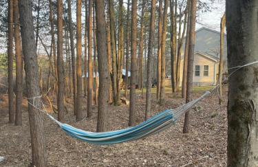 Evergreen Escapes 4 BR with Game Room, Firepit near Kalahari and Camelback - Foto 53