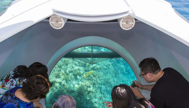 Glass Bottomed Boat Ride - Foto 5