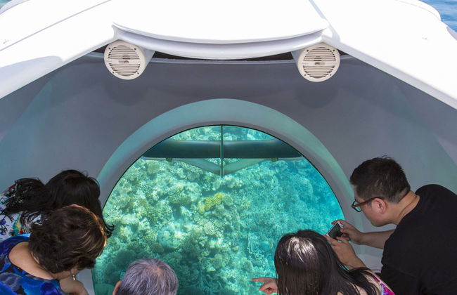 Glass Bottomed Boat Ride - Foto 5