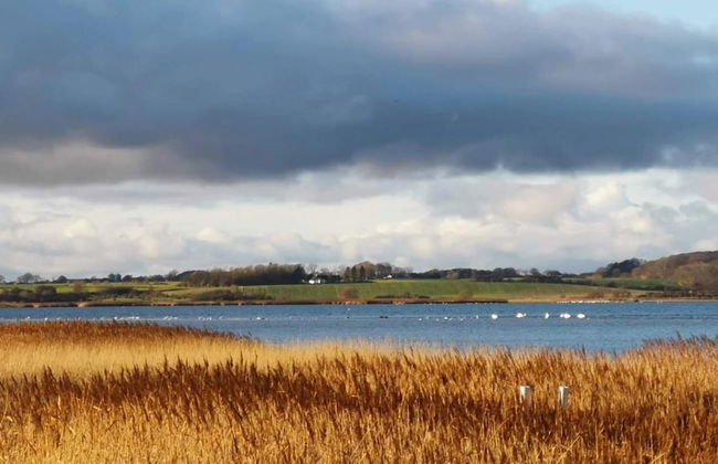 6 Person Holiday Home on a Holiday Park in Hejls - Foto 64