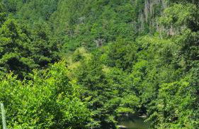 Kleine Auszeit - Foto 12