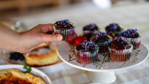 Agroturystyka Akacjowe Zacisze - Foto 2