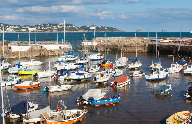 The Spinney in Paignton - Foto 53