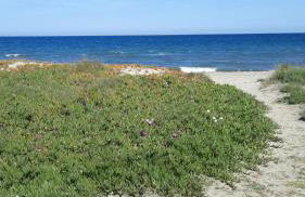 Location appartement les pieds dans l'eau, Résidence Aqua Linda à Poggio-Mezzana - Foto 51