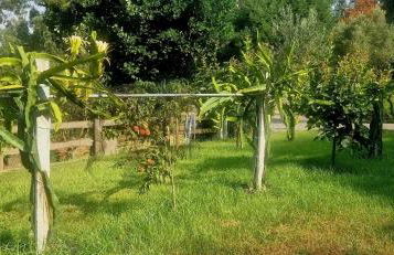 Ideal Villa in Vila Nova de Famalicão with Private Pool - Foto 77