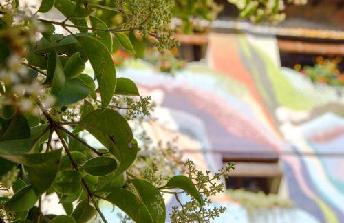 Casa El Pelaire - Foto 17