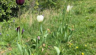 Cosy retreat in the heart of the Cotswolds. - Foto 4