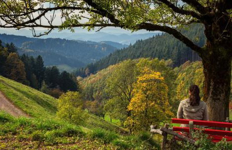 Ferienwohnungen Golla-lang - Foto 26