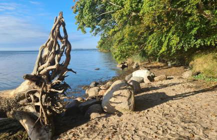 Ferienwohnung To Hus - Foto 33