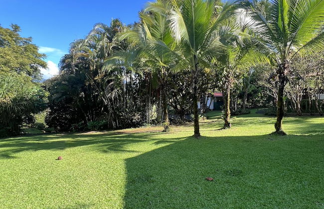 Blue Banyan Inn - Photo 19