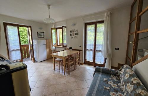 Stella Alpina - Foto 9