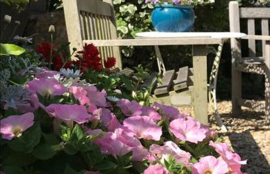 Norburton Hall Cottages - Photo 10