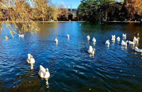 Rose Cottage Trecynon Traditional 2 bed cottage Zip World Beacons Bike - Photo 33